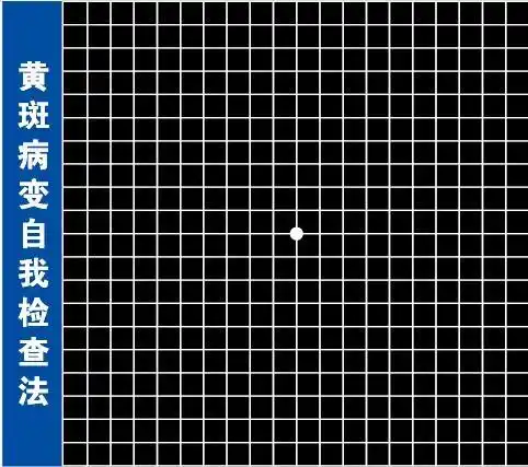 吃西瓜用勺子kk