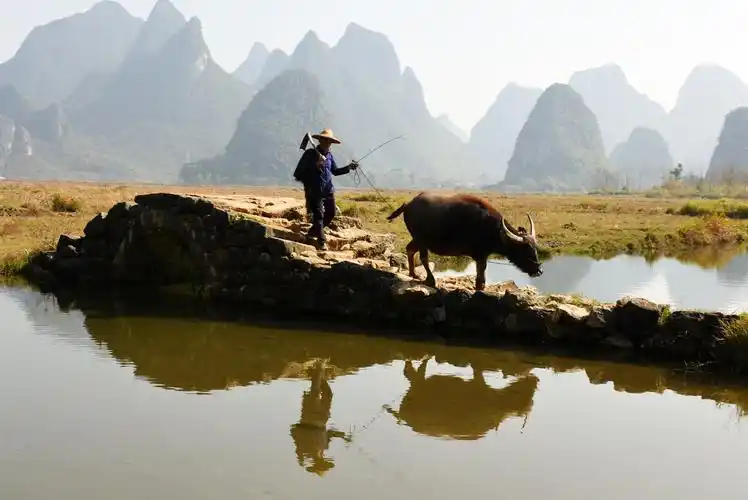 老农牵牛变身模特 月收入最高3万元