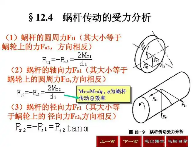 (3)蜗杆的径向力fr1(其大小等 于蜗轮上的 径向力fr2,方向相反)