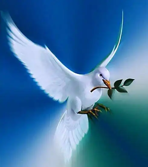 各种盛大活动中,以放飞鸽子,表达人们对和平和友谊的渴望.