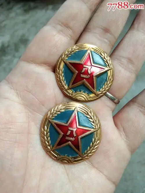 55式陆*铜制大帽徽两枚