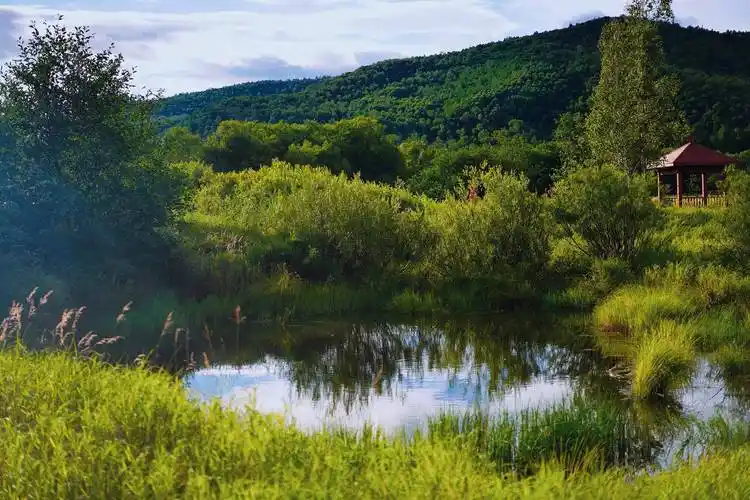 原创酷暑时节徒步穿越大兴安岭丛林感受加格达奇20度的夏天