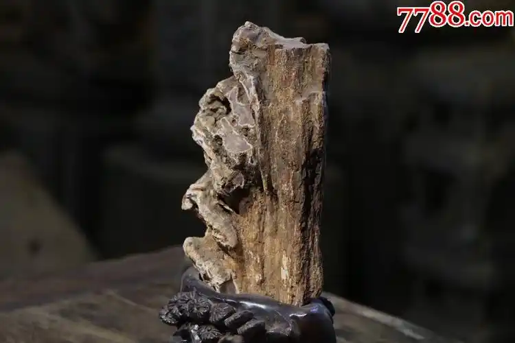 木化石原生态摆件