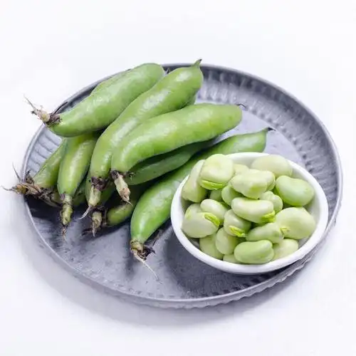 带壳新鲜蚕豆生嫩蚕豆现摘5斤新鲜蔬菜罗汉豆胡豆可开发票