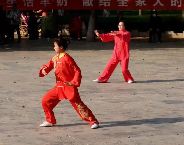 2020年濮阳市市直老年人体育健身大会暨濮阳市"杏林杯"第25届太极拳