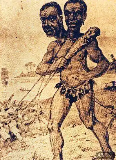 远古确有巨人存在 来自巴塔哥尼亚双头巨人木乃伊