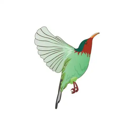 国风矢量 鸟 鸟 矢量