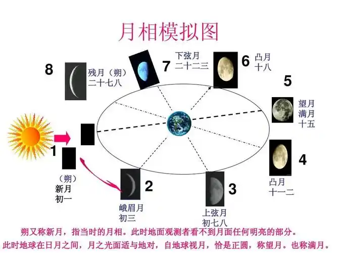 六年级科学下册《月相变化》
