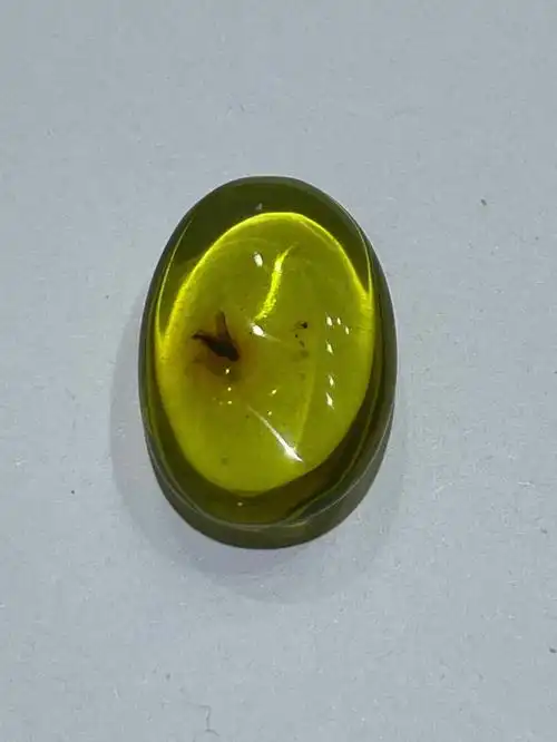 绿珀虫珀叶蝉坠子