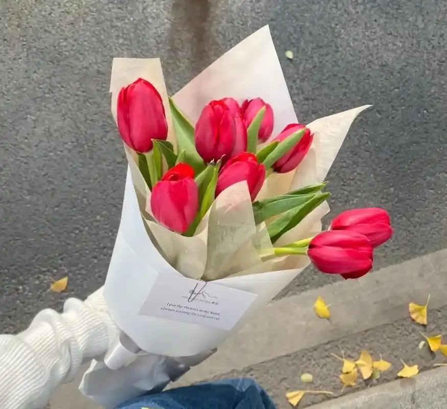 郁金香花束.郁金香的季节🌷 🌷 🌷 郁金香花语--" - 抖音