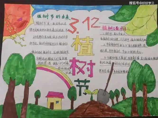 植树节手抄报内容大全