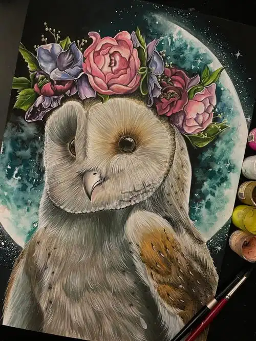 猫头鹰水彩分享附步骤图喜欢关注77小红心