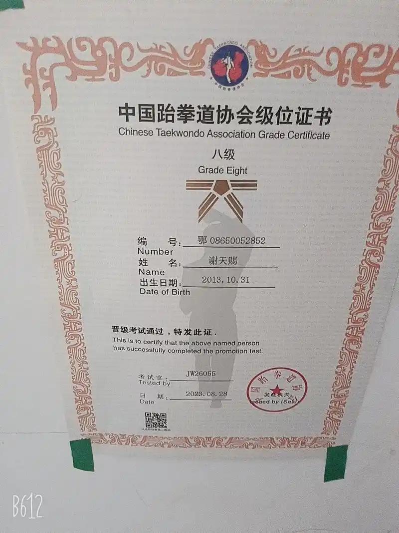 恭喜我的宝贝考级顺利通过了,从白带晋升为黄带,你的努力离不开 - 抖