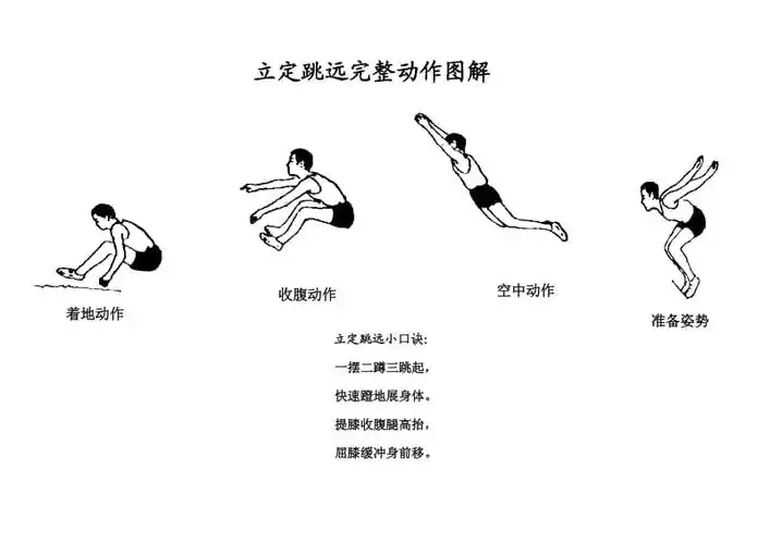 立定跳远动作图解