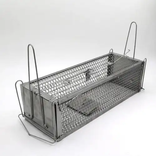 老鼠夹捕鼠器简笔画