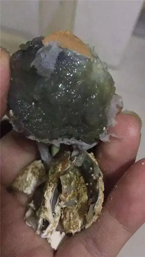 刚买回家的皮蛋,蛋清部分化成水,还能吃吗?看完涨知识