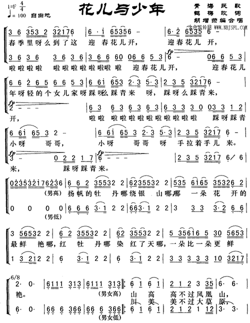 【花儿与少年简谱】花儿与少年(合唱谱)简谱