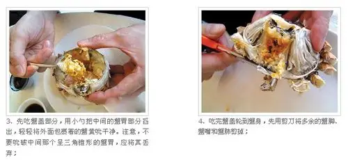 大闸蟹吃法