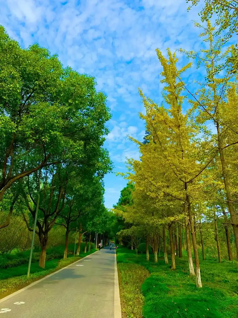 秋天的天,高远而纯净;秋天的风,清新而凉爽.#每一张照片都是 - 抖音