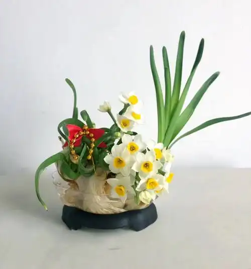 2020年水仙花作品