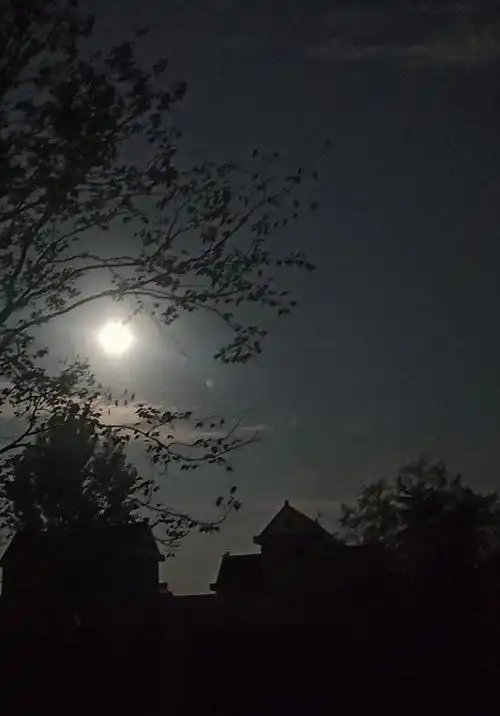 月夜#乡村#聆听静谧# - 路上撒满阳光