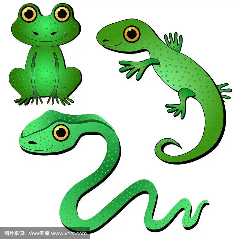 两栖动物和爬行动物.