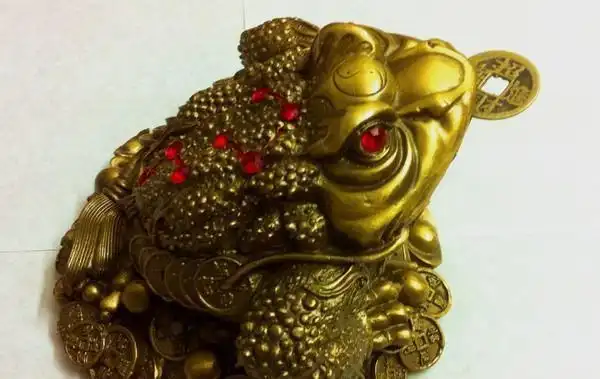 世界上真的有金蟾这种动物吗