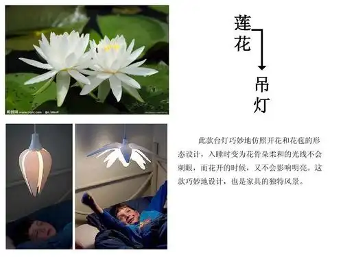 无忧文档 所有分类 高等教育 艺术 产品仿生设计案例ppt 莲 花 吊 灯