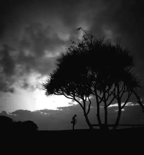 一个男人靠着大树,周围是什么都没有,要黑白的伤感 图片