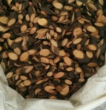 钻山风别名广香藤瓜复木