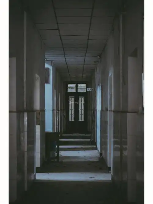 废弃了的学校钻进去就忘了出来壹