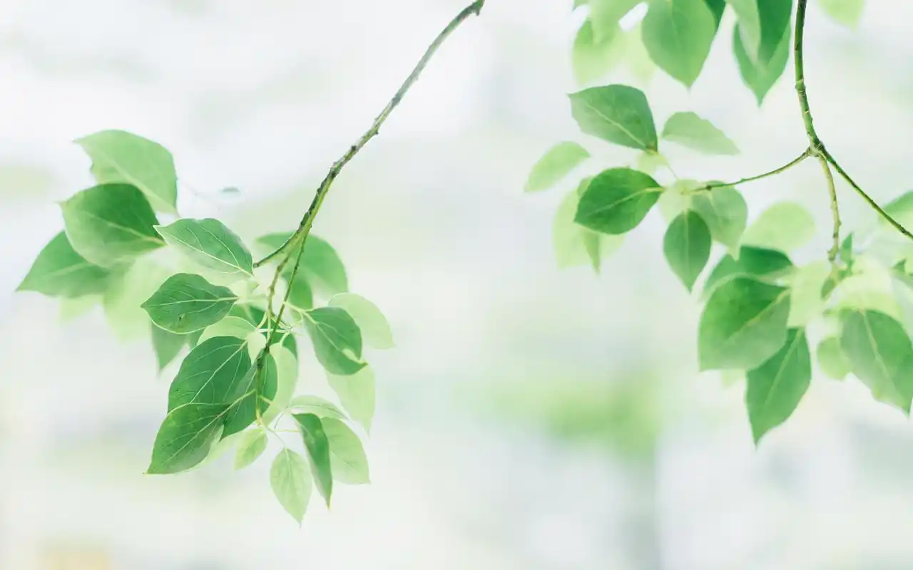 小清新唯美高清图片壁纸~~为你的桌面换上一张干净清新简约的壁纸吧!
