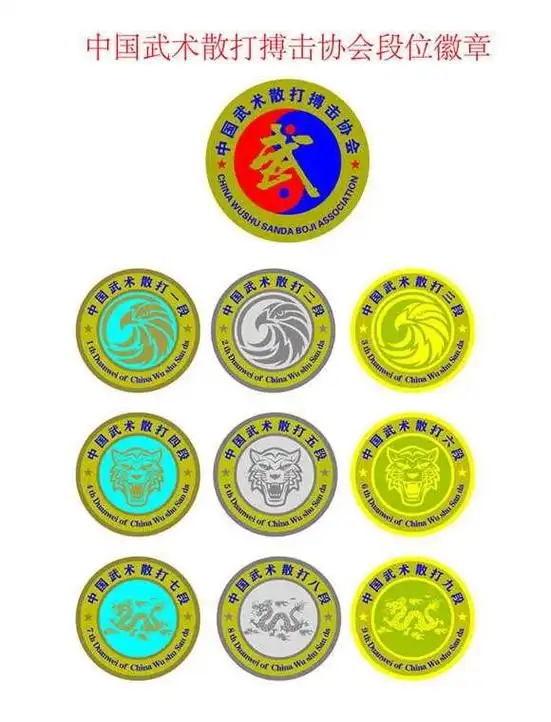 中国武术散打搏击协会证书,段位徽章样板