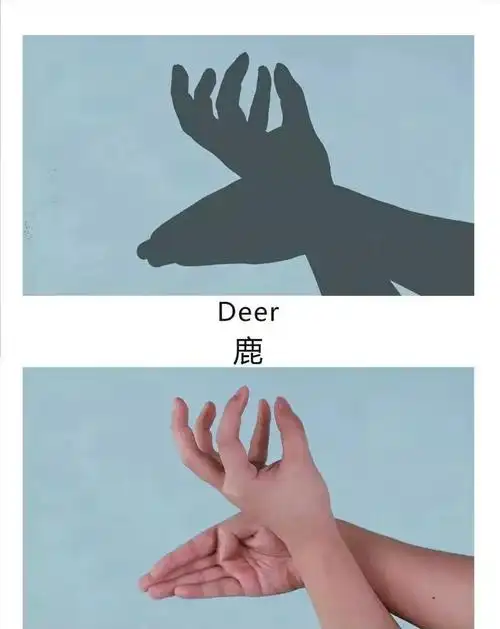 郭滩镇中心幼儿园"停课不停学"之动物手影和语言活动