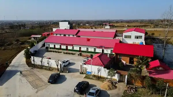 美好生活看信阳丨商城县上石桥镇红色血脉与绿色产业交织绘画产业振兴