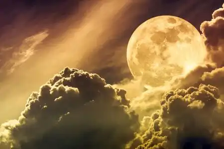 棕褐色调明亮的月光在美丽的海滩上, 椰子树倾斜, 越南渔村渔民的船