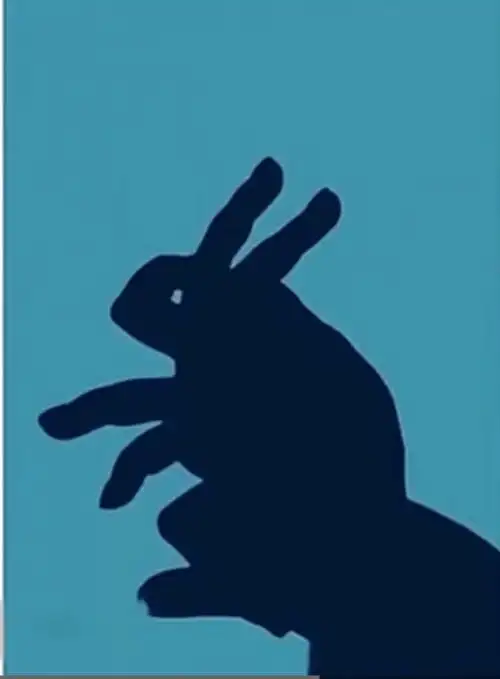 「知远·梧桐树舜兴东方幼儿园」神秘的影子游戏