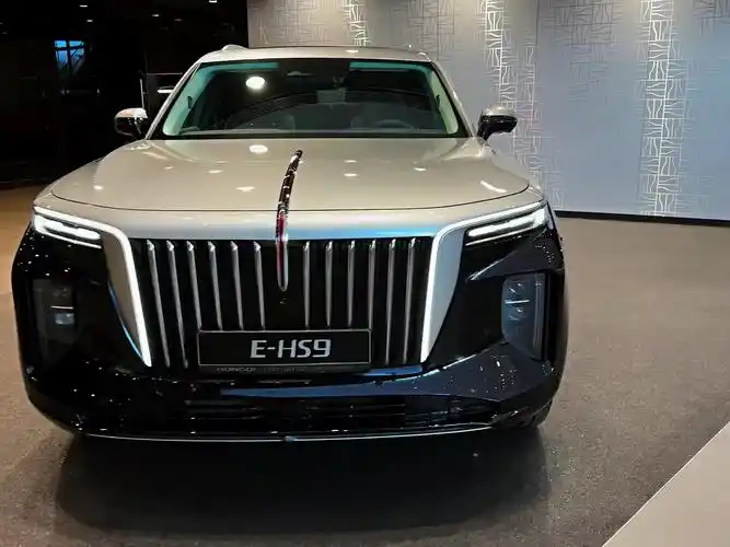 2024 红旗 e-hs9