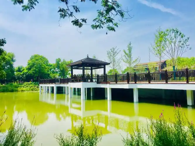 武汉市国家城市湿地公园金银湖摄影图片集锦