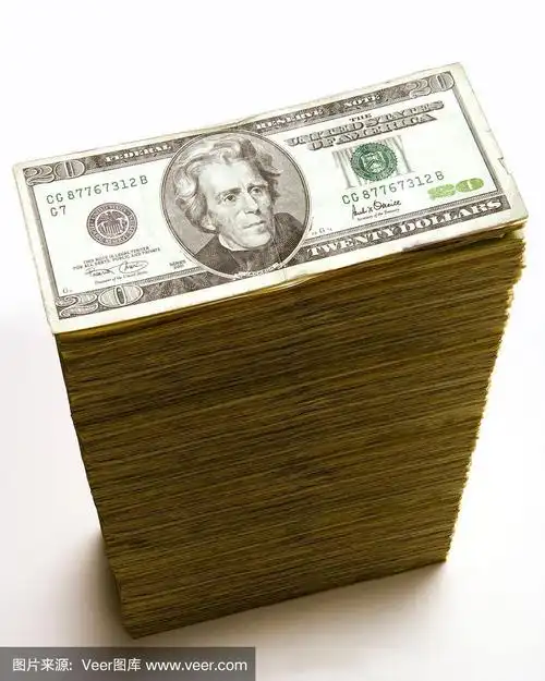 一堆20美元的钞票