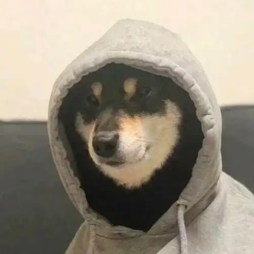 的爸爸#柴犬  #范丞丞 #马嘉祺