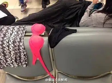 泰媒称中国大妈在泰机场晒内衣 颜色鲜艳(图)