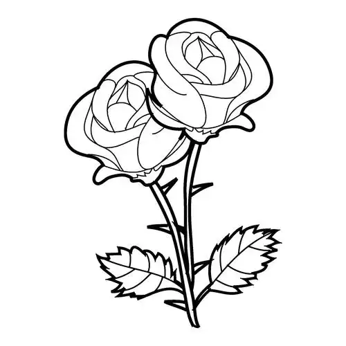 线图-堆糖,美好生活研究所