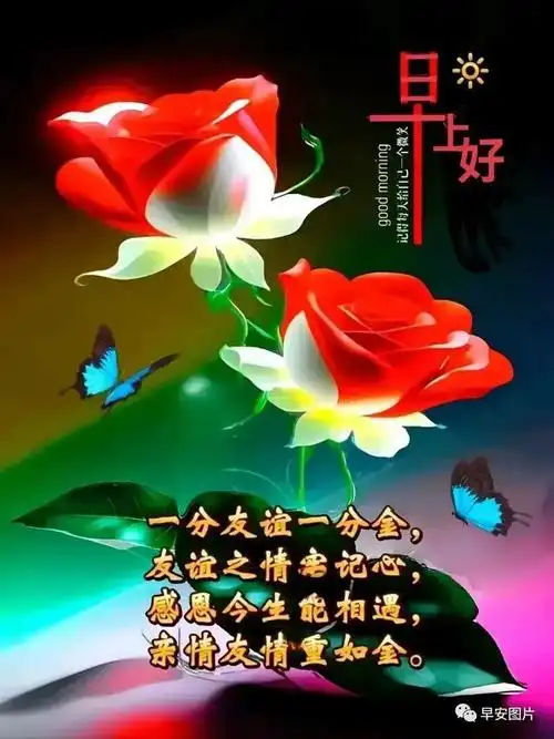今天最美早安问候祝福语,今日精选早安问候图片