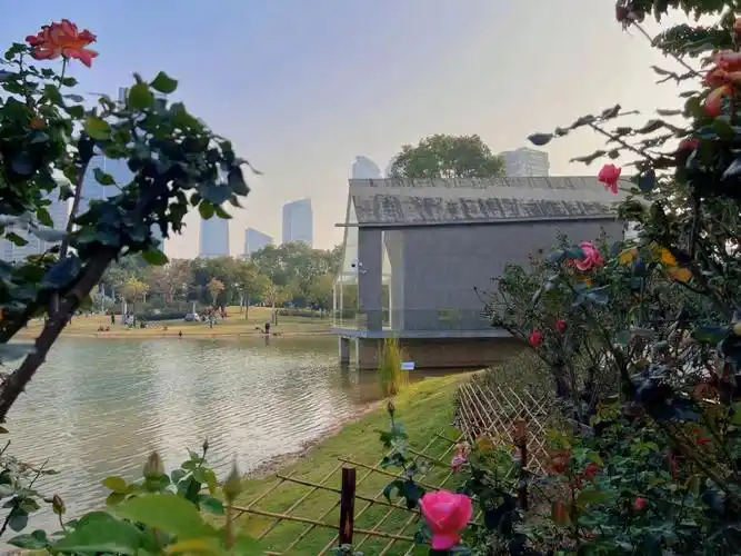 春天该去一次香蜜公园