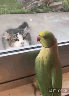 240_333竖版 竖屏gif 动态图 动图