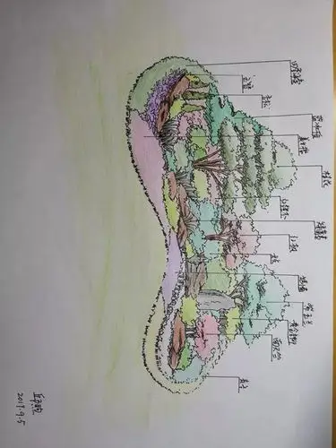 花境师技能培训报名07第十八期花境师技能研修班通知