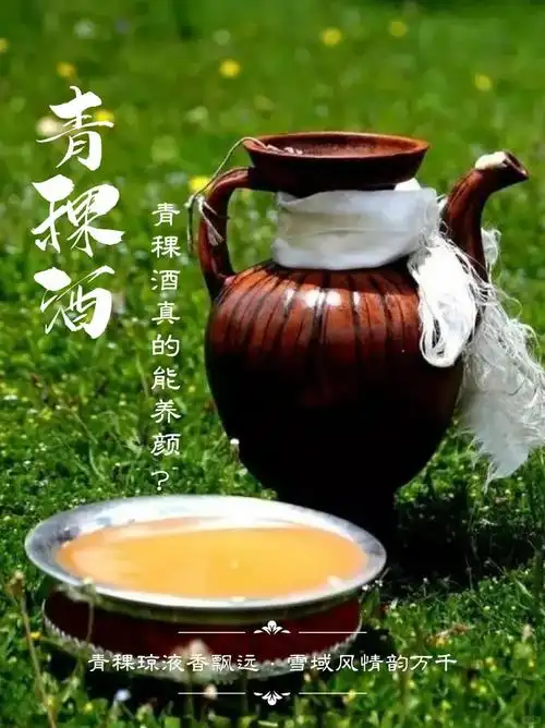 青稞酒:高原的秘密与养颜的奇迹