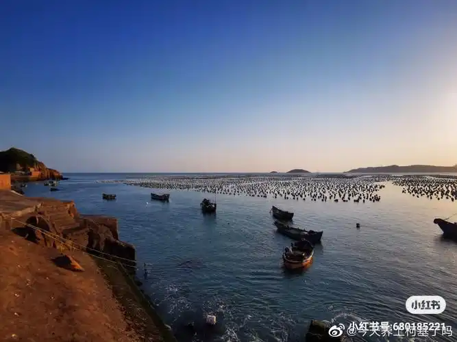 嵊泗枸杞嵊山本岛小记