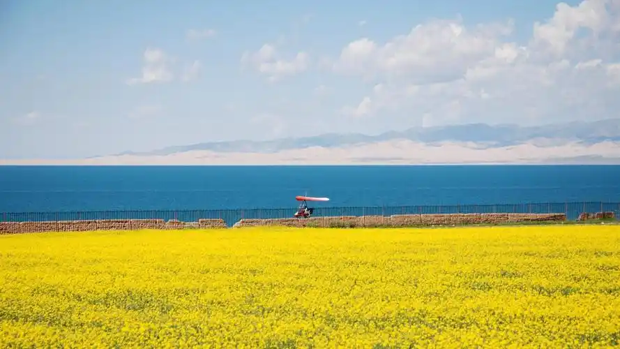 美丽的青海湖壁纸